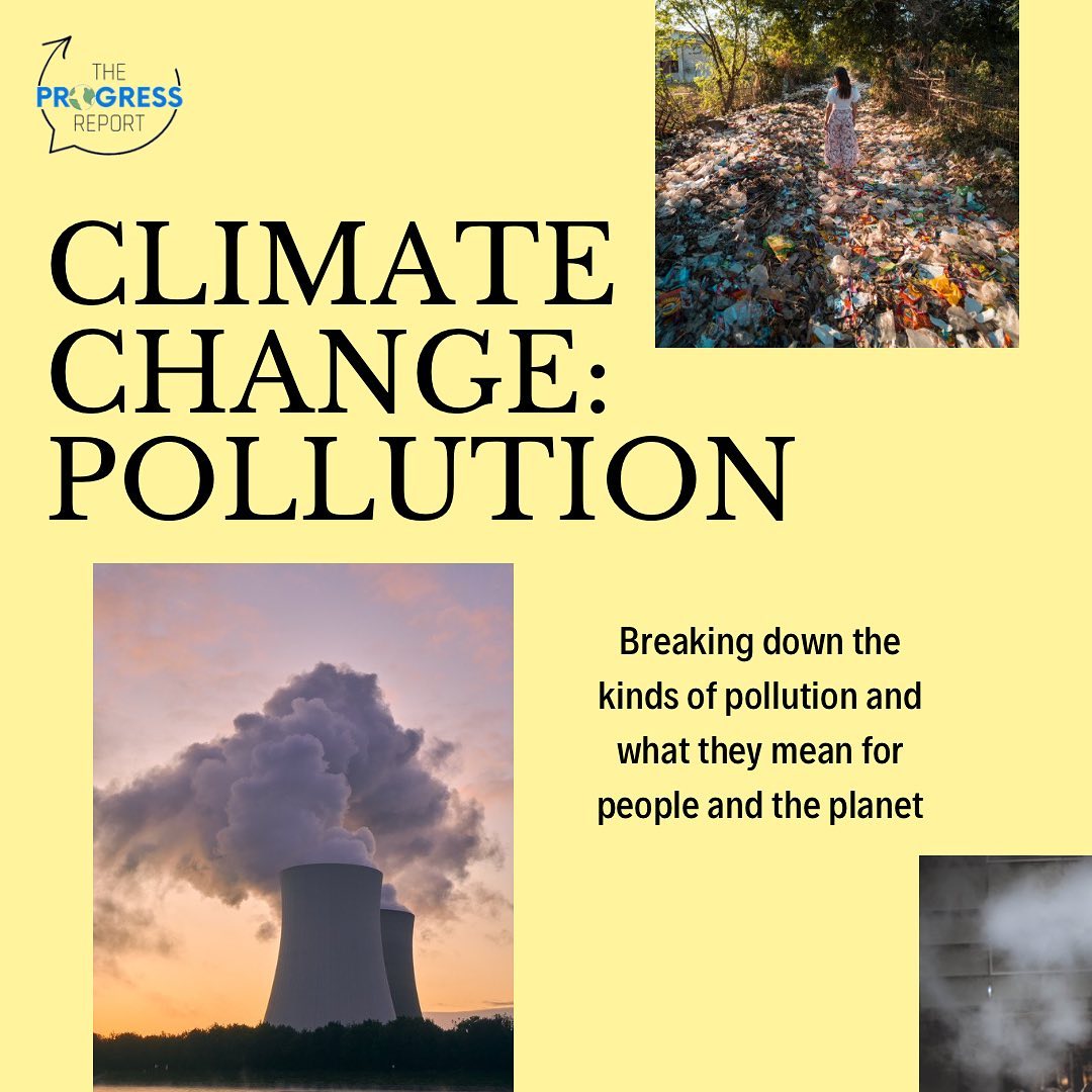 A quick guide to pollution💨🗑💧... - The Progress Report