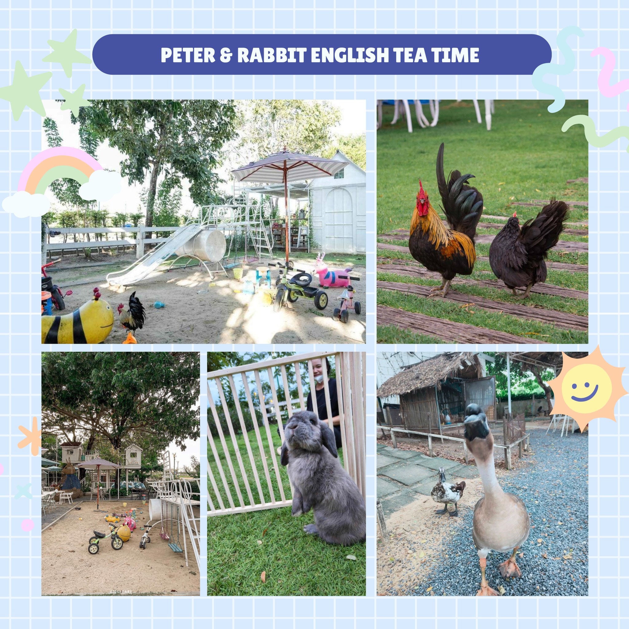 Whale - Peter Rabbit English Tea Time พิกัด : https://maps.app.goo.gl ...
