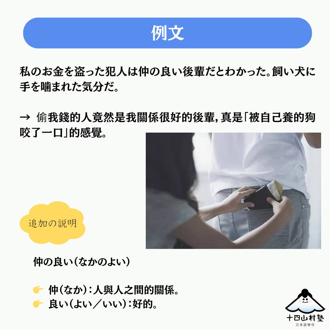 飼い犬 に 手 を 噛ま れる 意味