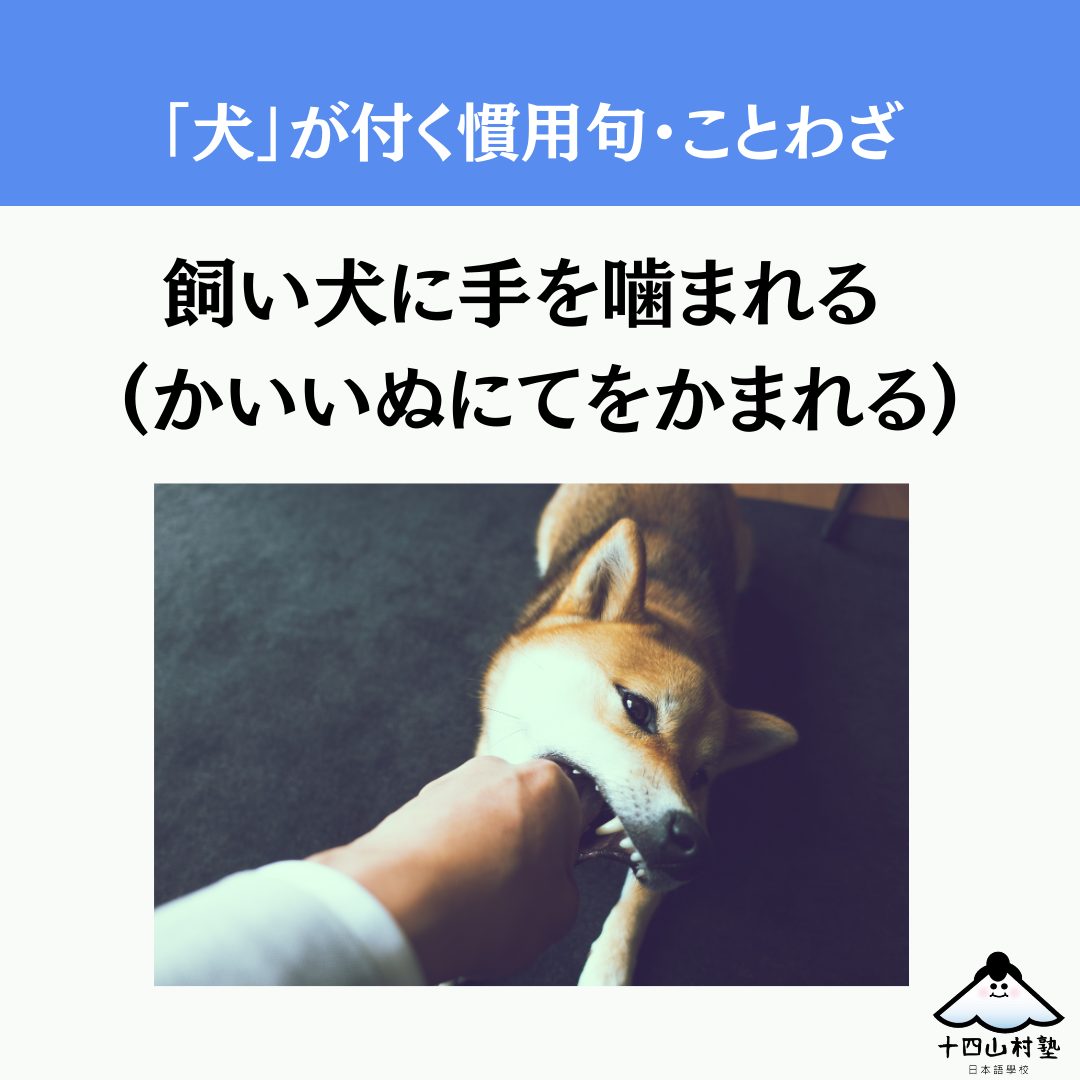 飼い犬 に 手 を 噛ま れる 意味