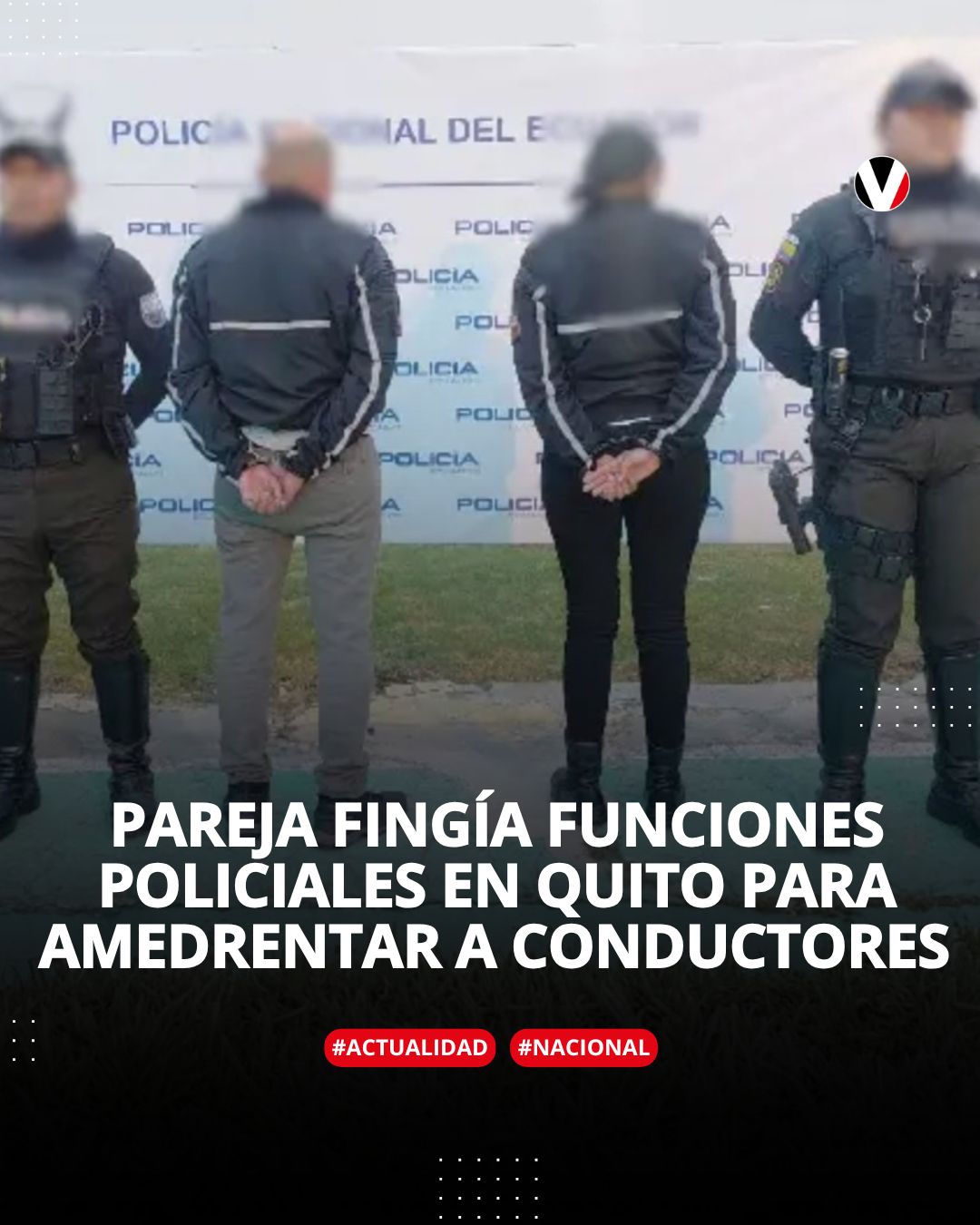 Revista - Categoría Fauna Urbana Un mapache asoma su rostro por la ...