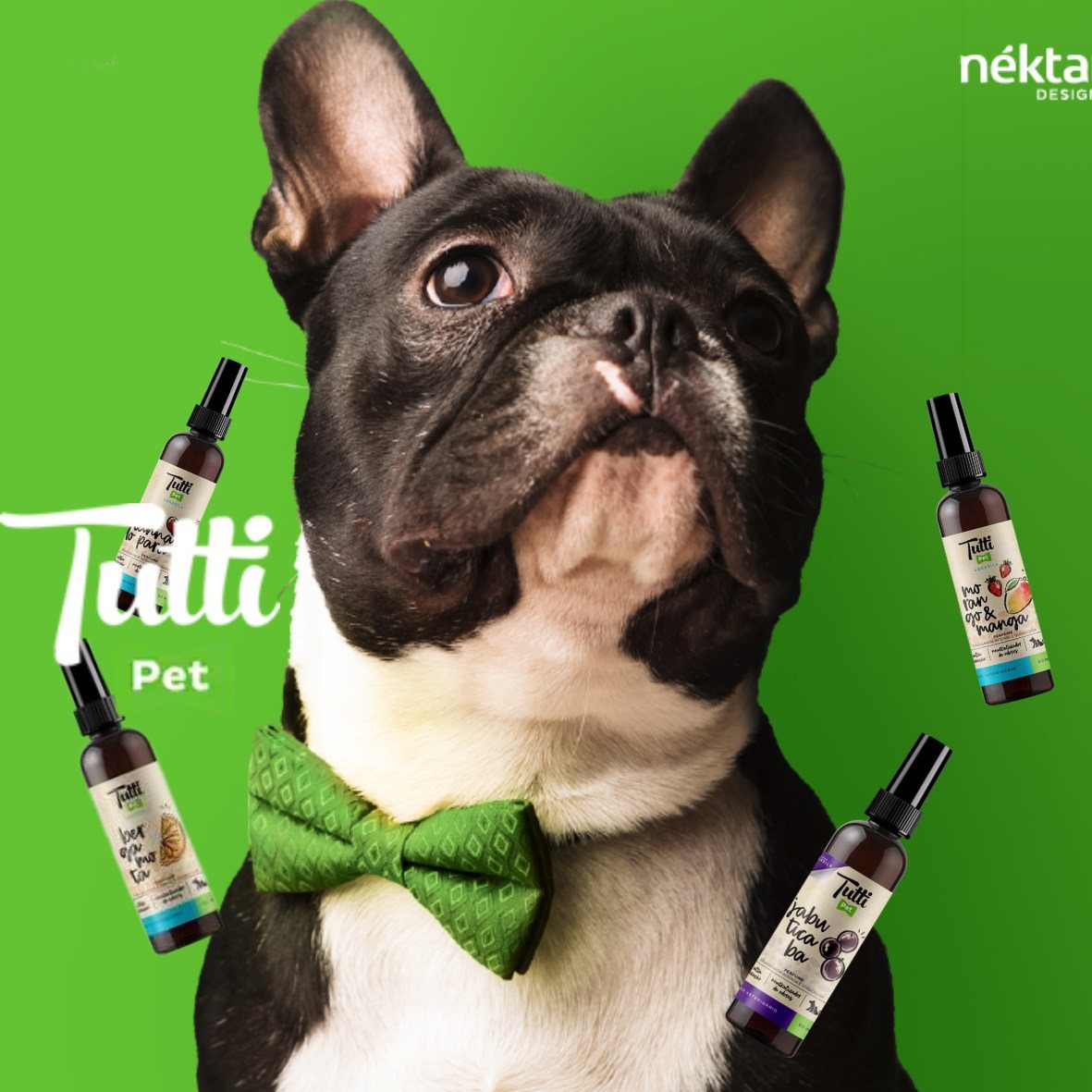 distribuidora-tutti-pet-updated-distribuidora-tutti-pet