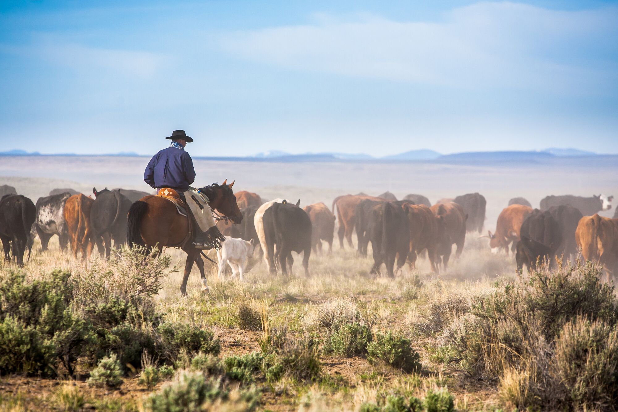 J.R. Simplot Company | Boise ID