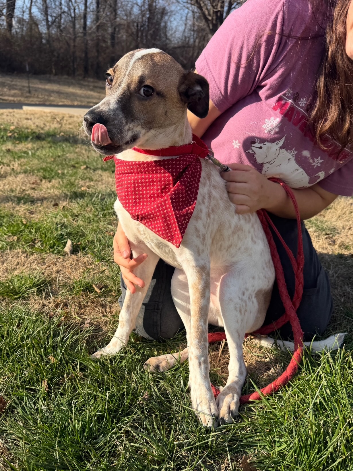 Meet Reed, a very... - Humane Society of Southwest Missouri | Facebook