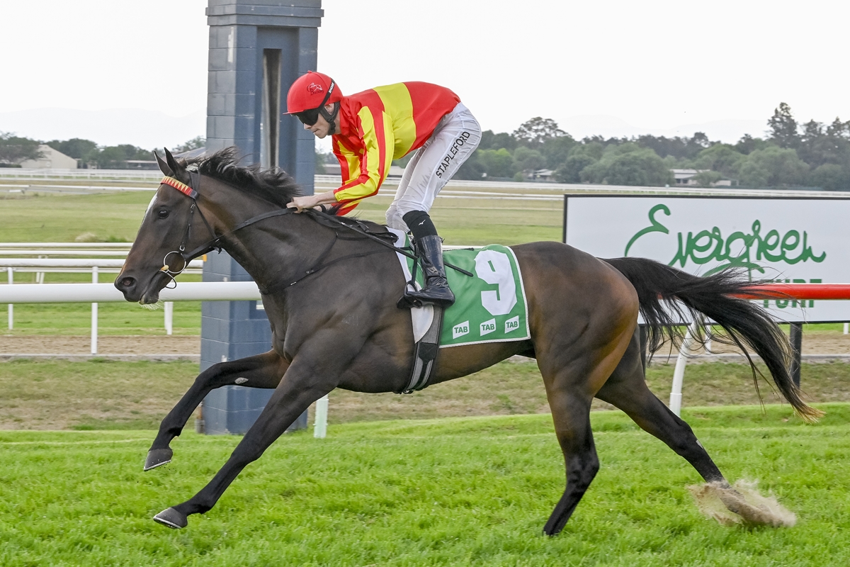 Domeland - Domeland filly Probability Theory makes it two wins on end ...