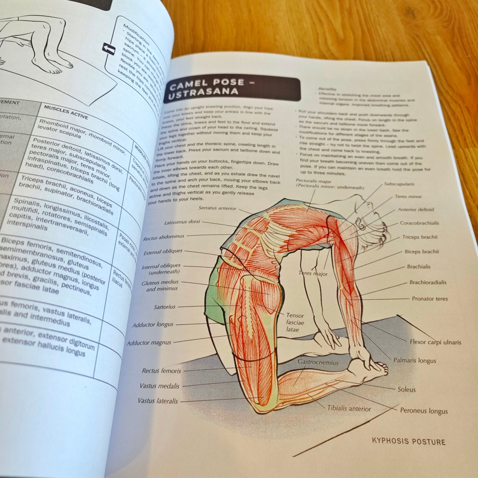 Yoga Books/หนังสือโยคะ added a... - Yoga Books/หนังสือโยคะ