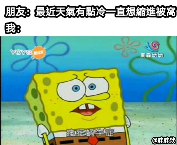 Meme - 被窩仔 #梗圖 #政治 #日常 #meme #梗圖倉庫 #網友投稿 #系統自動發佈 👉看更多網友創作 https://memes ...