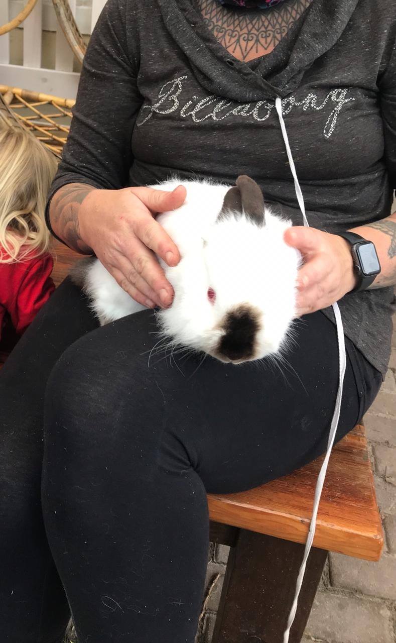 * ADOPTED * Beautiful Fudge's... - Noordhoek Bunny Rescue