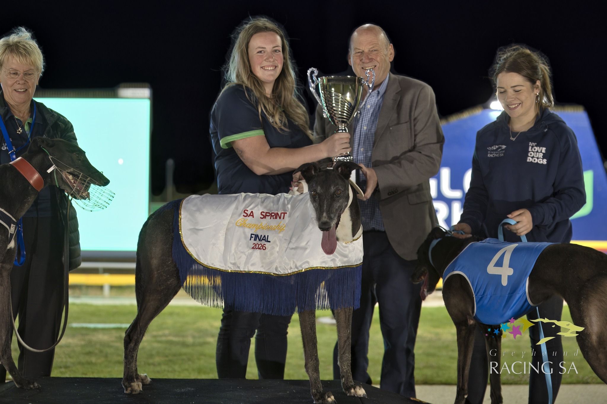 Greyhound Racing South Australia | Adelaide SA
