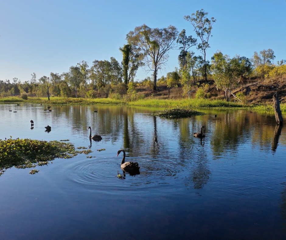 The natural wetlands at Riverside... - Riverside Waters | Facebook