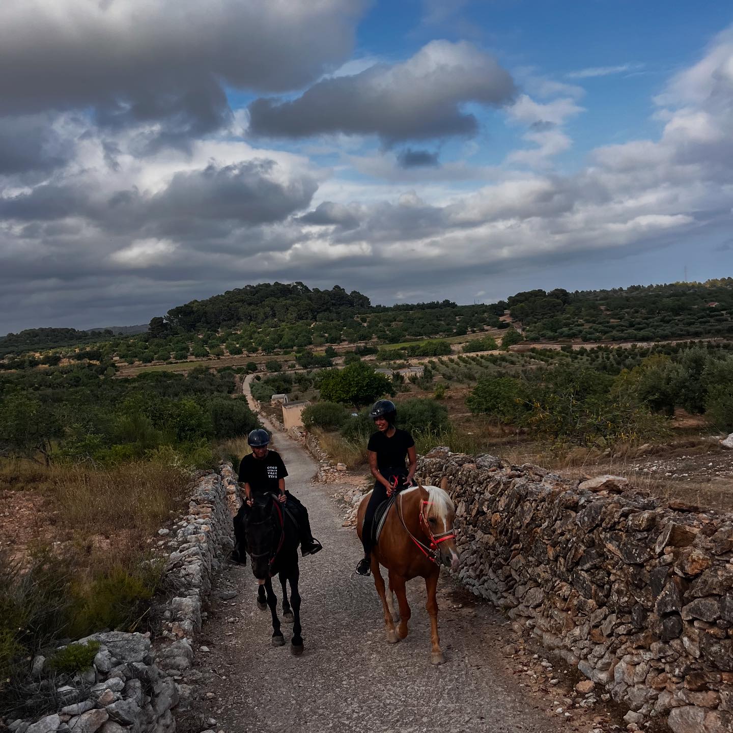 Centre Hípic Ranch | Pobla de Montornés