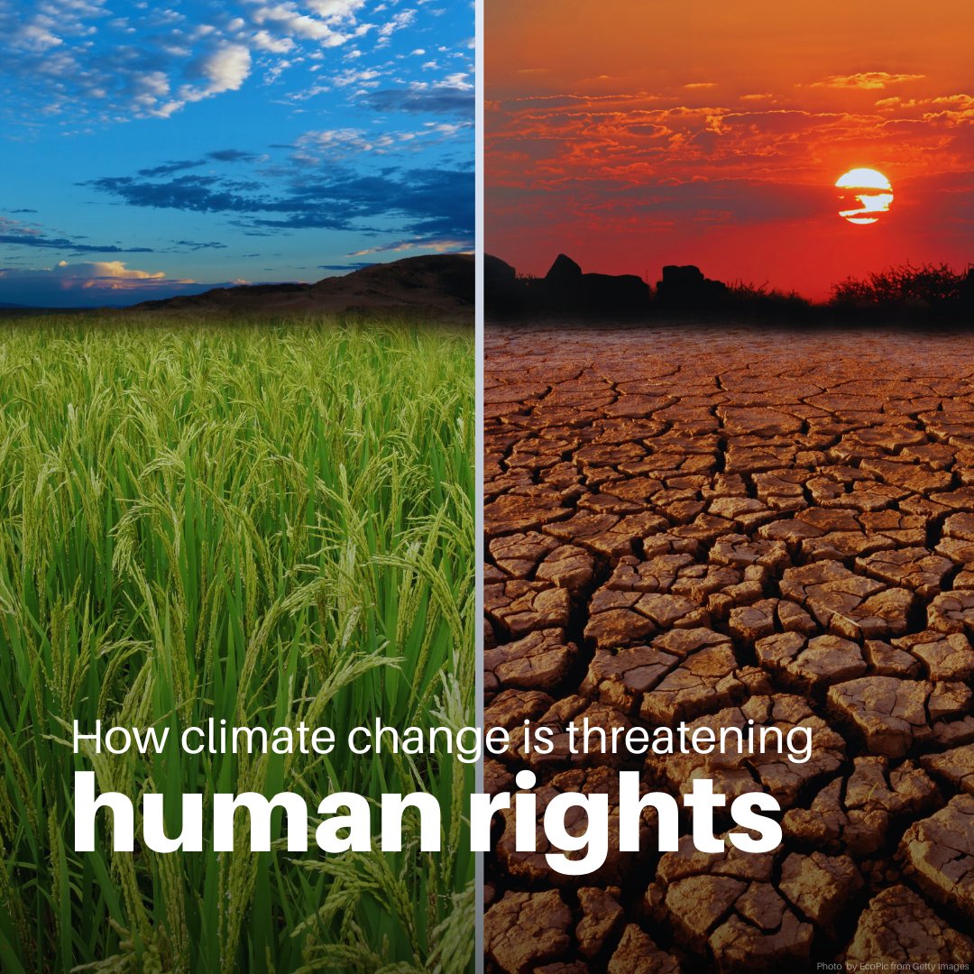 Human Rights & Crime Scene Int.