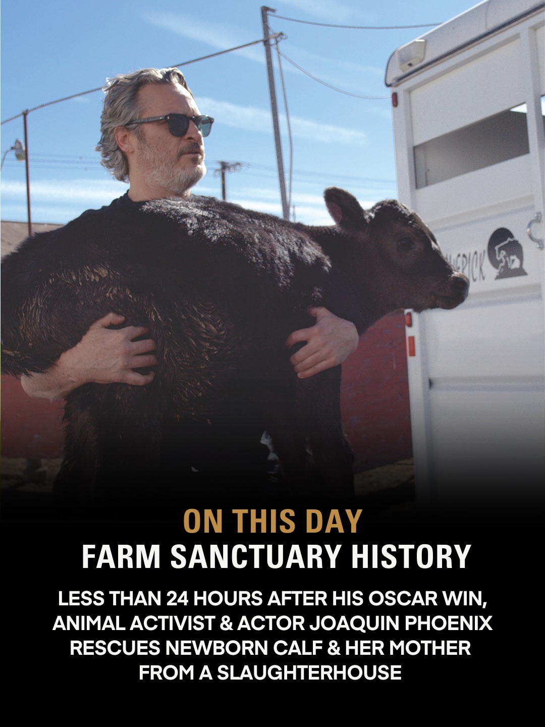 Farm - As we celebrate our 40th anniversary, we’ll be highlighting ...