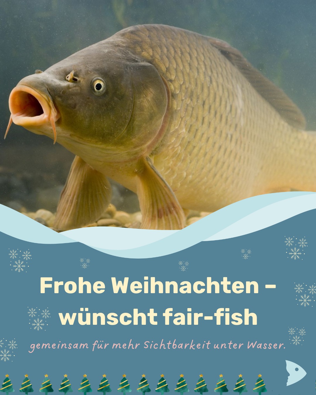 fair-fish | Uster