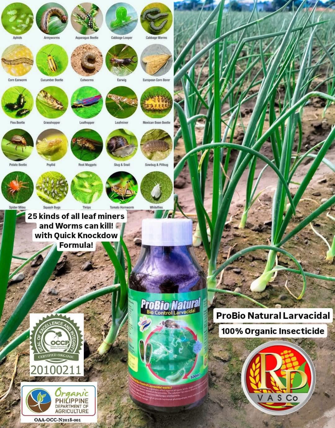 ProBio Natural Larvacidal by: Gabrielle's Mini Agri Region 3 | Bongabon