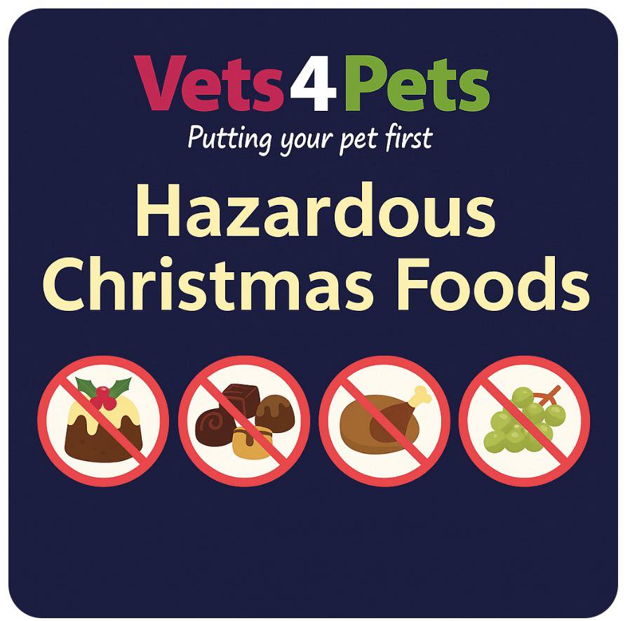 Picture of Vets4Pets - 🎄 Festive Foods That Can Be Dangerous for Pets 🎄 Here are ...