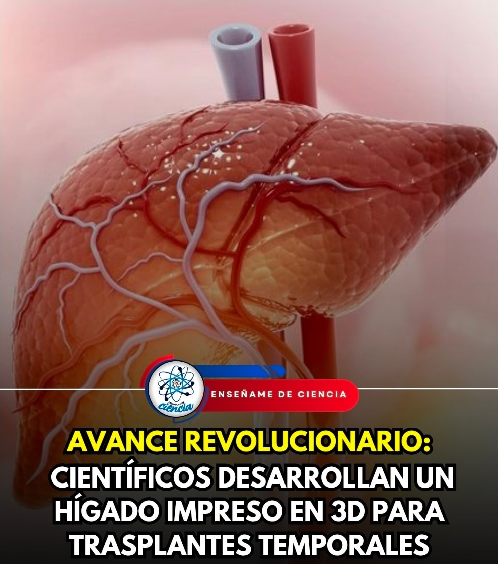 Enséñame - 🚨Signos para identificar una FRACTURA BASE DE CRÁNEO🚨 ...