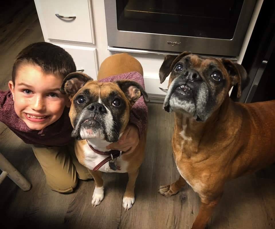 Blue Ridge Boxer Rescue Virtual Run