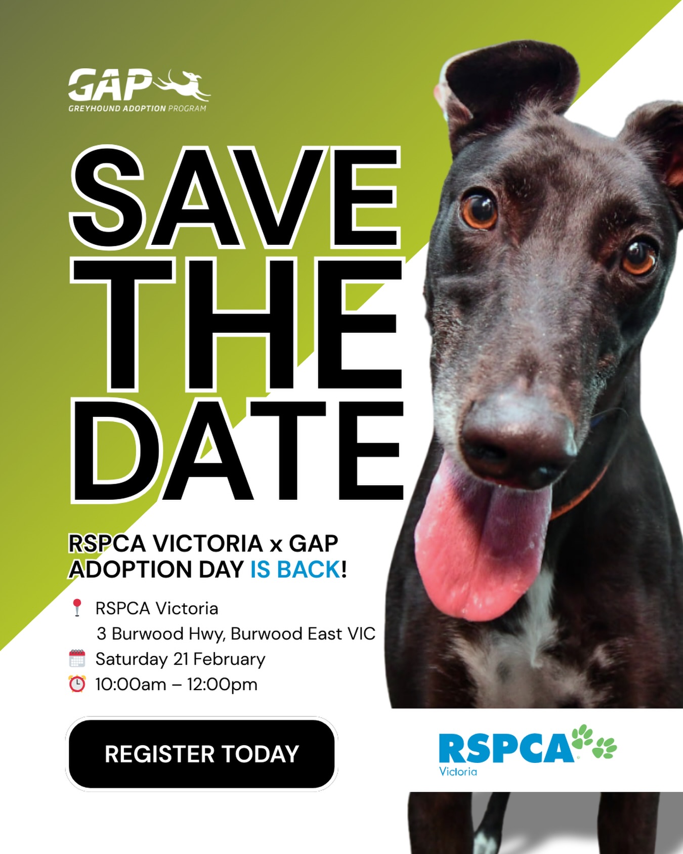 📅 SAVE THE DATE –... - Greyhound Adoption Program VIC | Facebook