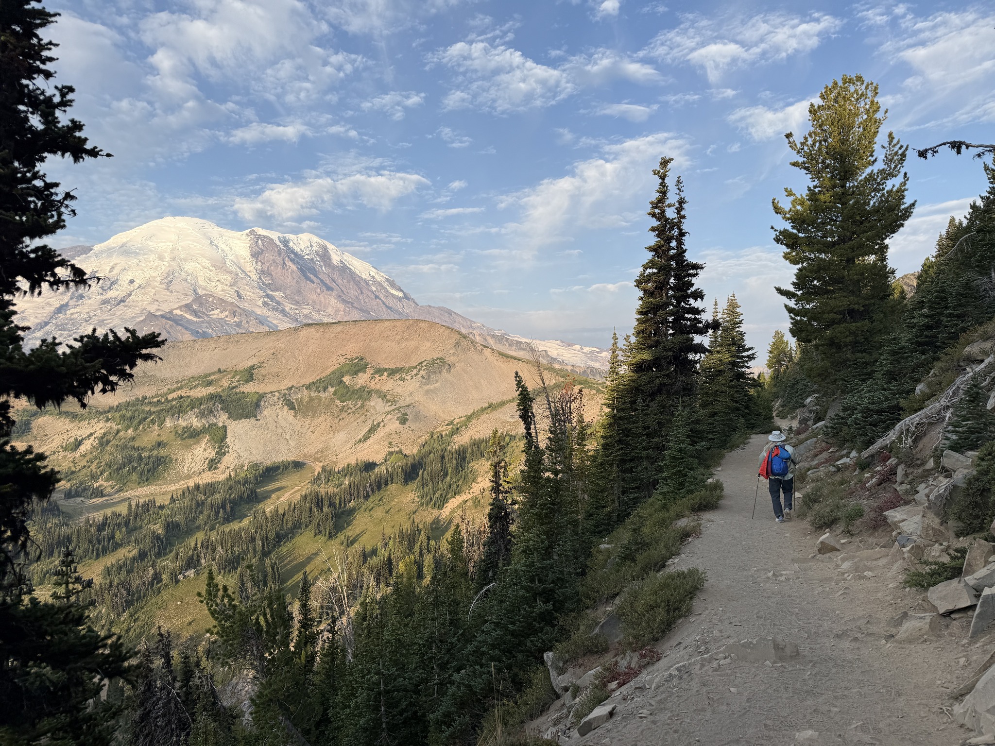 wandering-hiking-the-mount-fremont-fire-lookout-tower-trail-via-the