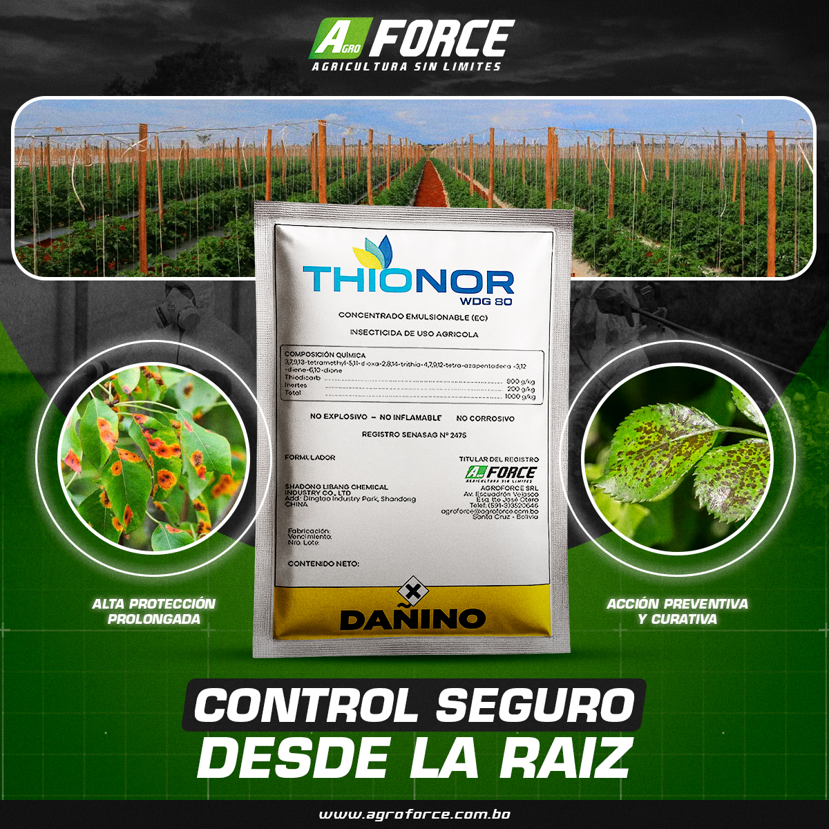 Agroforce - 🔰 THIONOR WDG 80 es un insecticida de uso agrícola ...