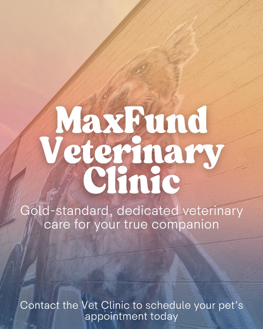 MaxFun... - MaxFund No-Kill Animal Shelter and Adoption Center