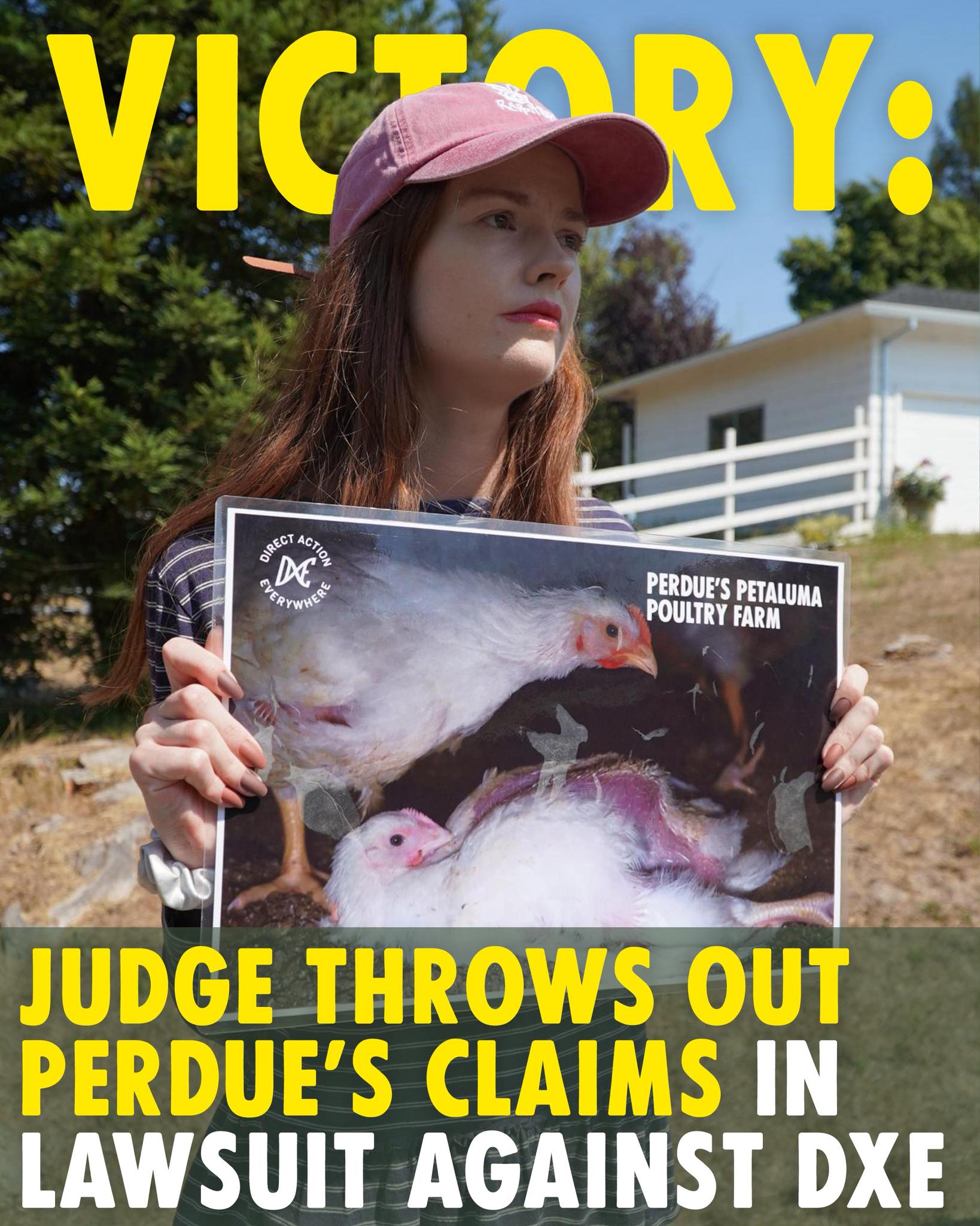 Yesterday, Sonoma County... - Direct Action Everywhere - DxE | Facebook