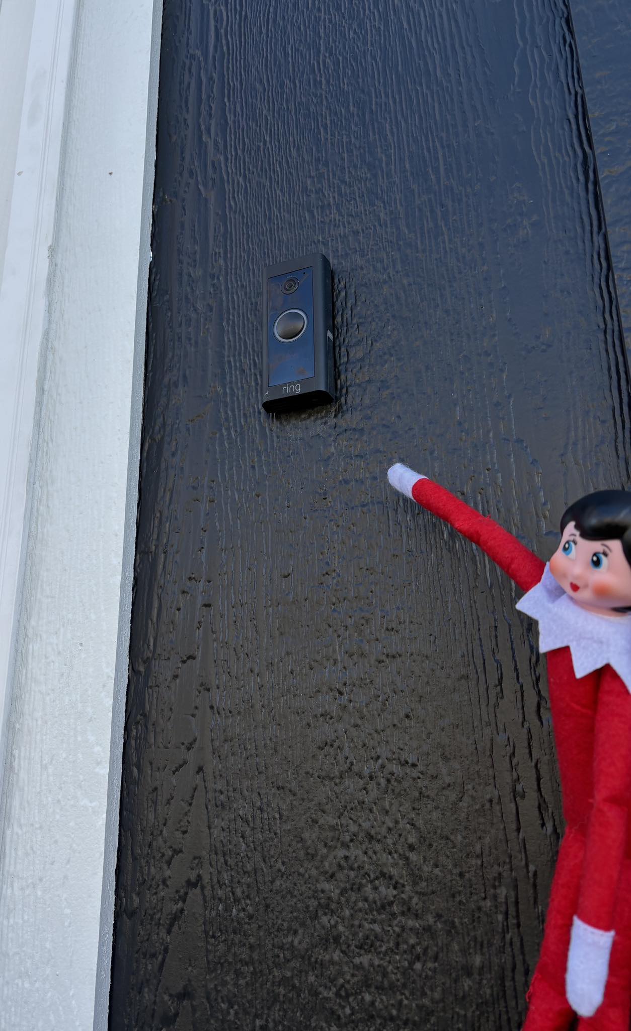 Freedom - 🔔 Elf-approved security alert! 🔔 Holly the Home Helper Elf is ...