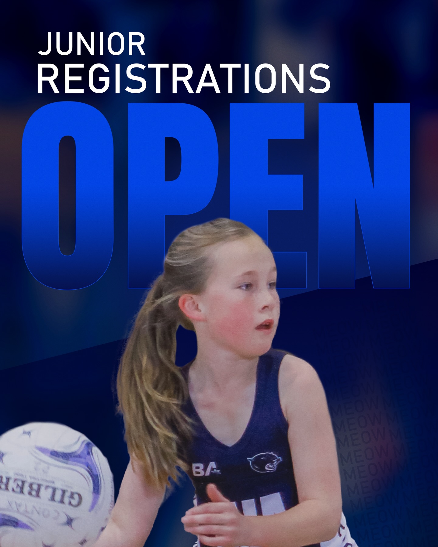Walkerville Netball Club added... - Walkerville Netball Club