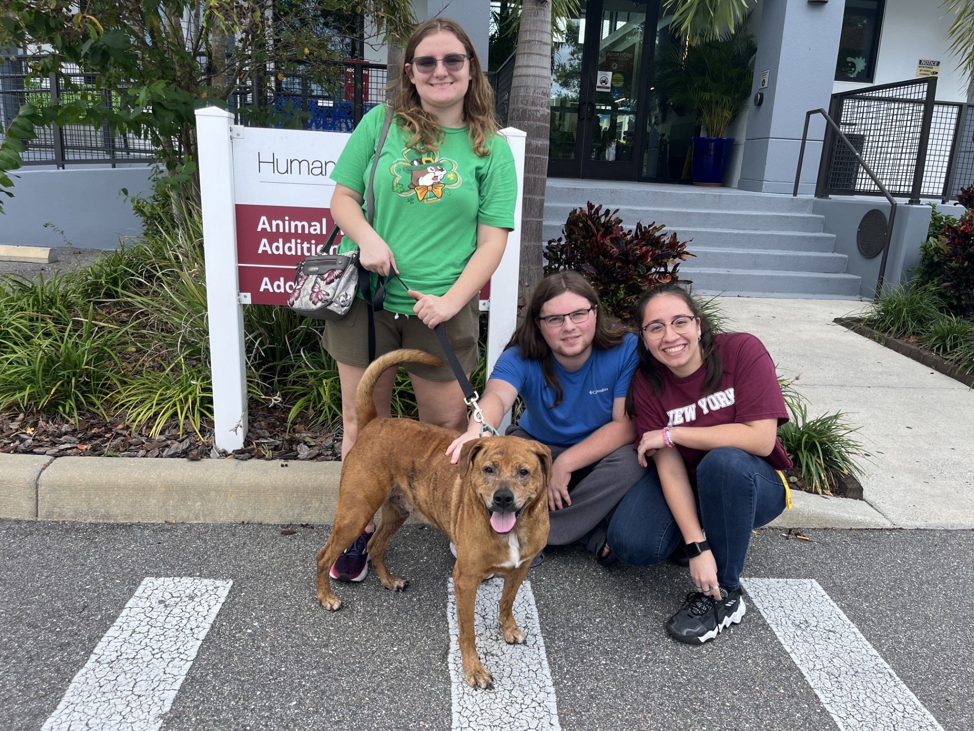 Humane - 🌟 From Longest Resident to Happily Ever After 🌟 Simba, a 7 ...
