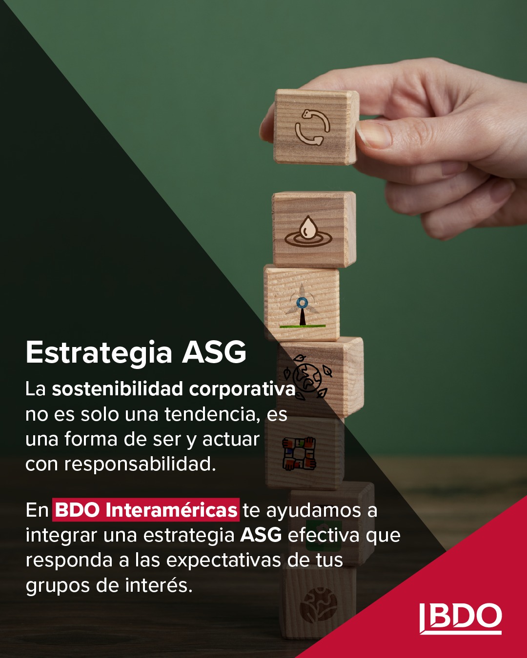 BDO - 💡🌍 ¿Tu empresa está lista para liderar con sostenibilidad ...