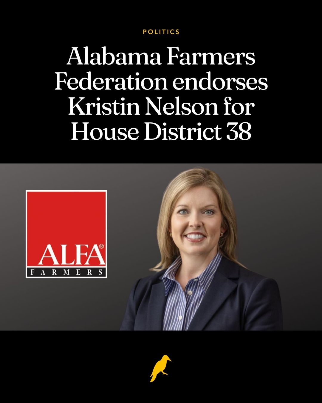 Kristin Nelson for House District 38