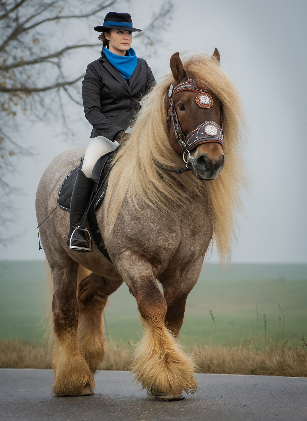 Stable - Meet this incredible draft horse, a true gentle giant with a ...