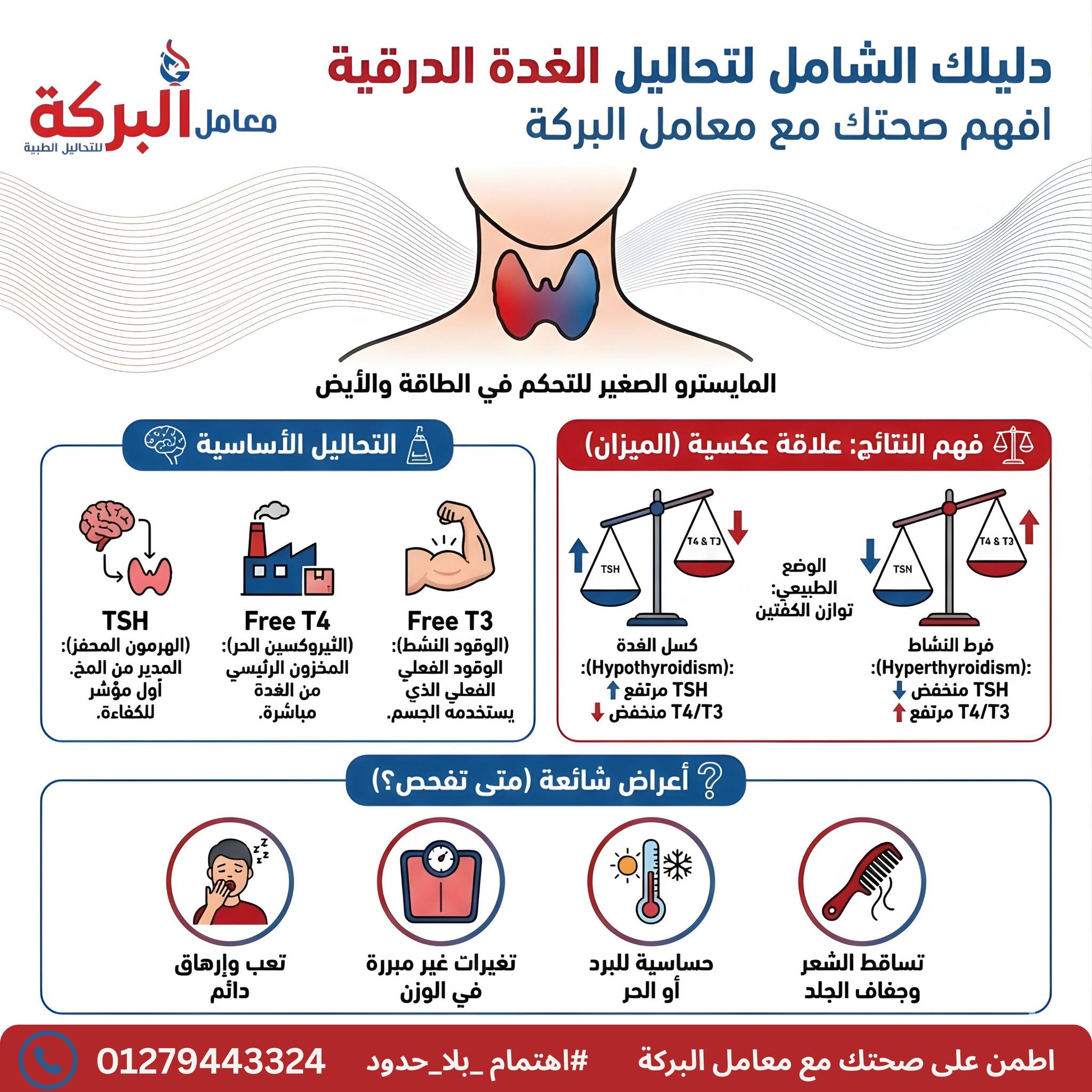 el-baraka-labs-giza