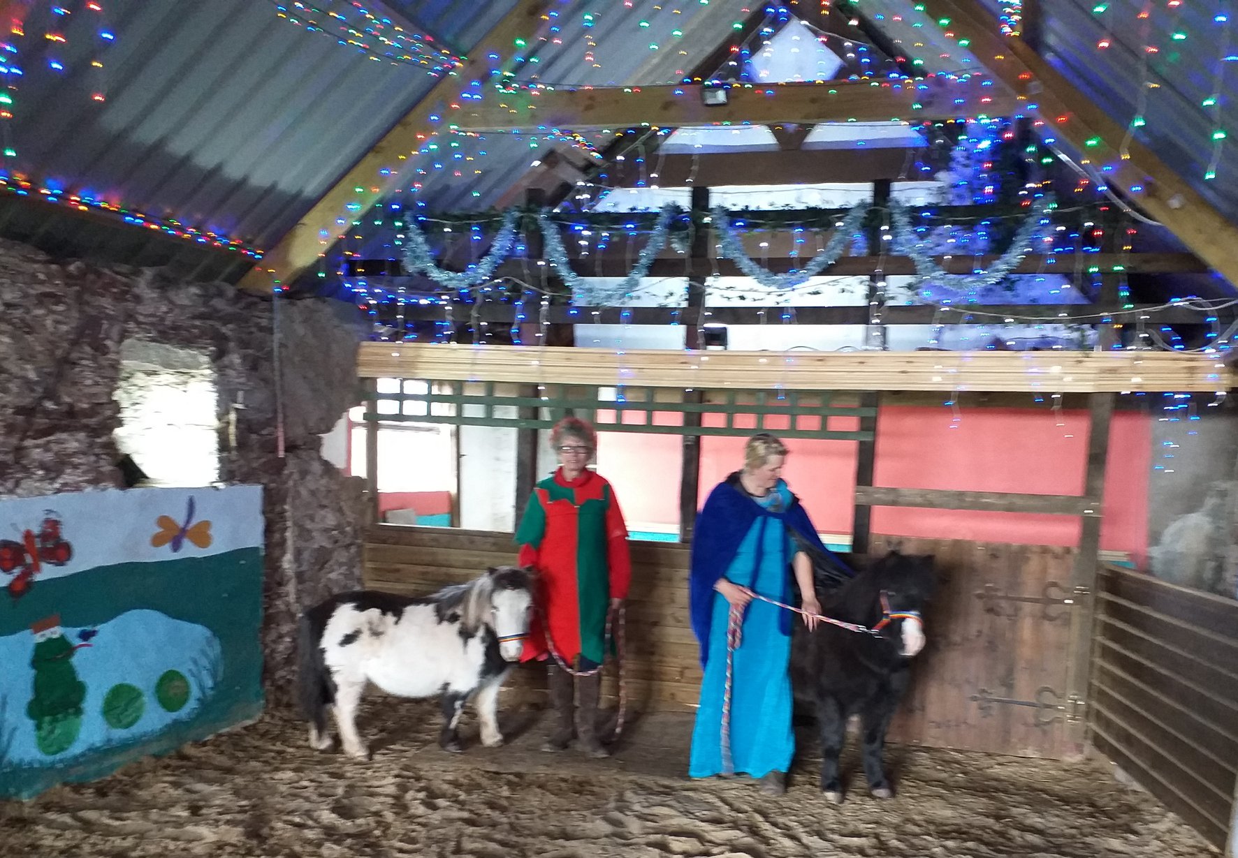 Tenby Carriage rides - Lulu graciously receiving Gareth Blyth TD VR of ...