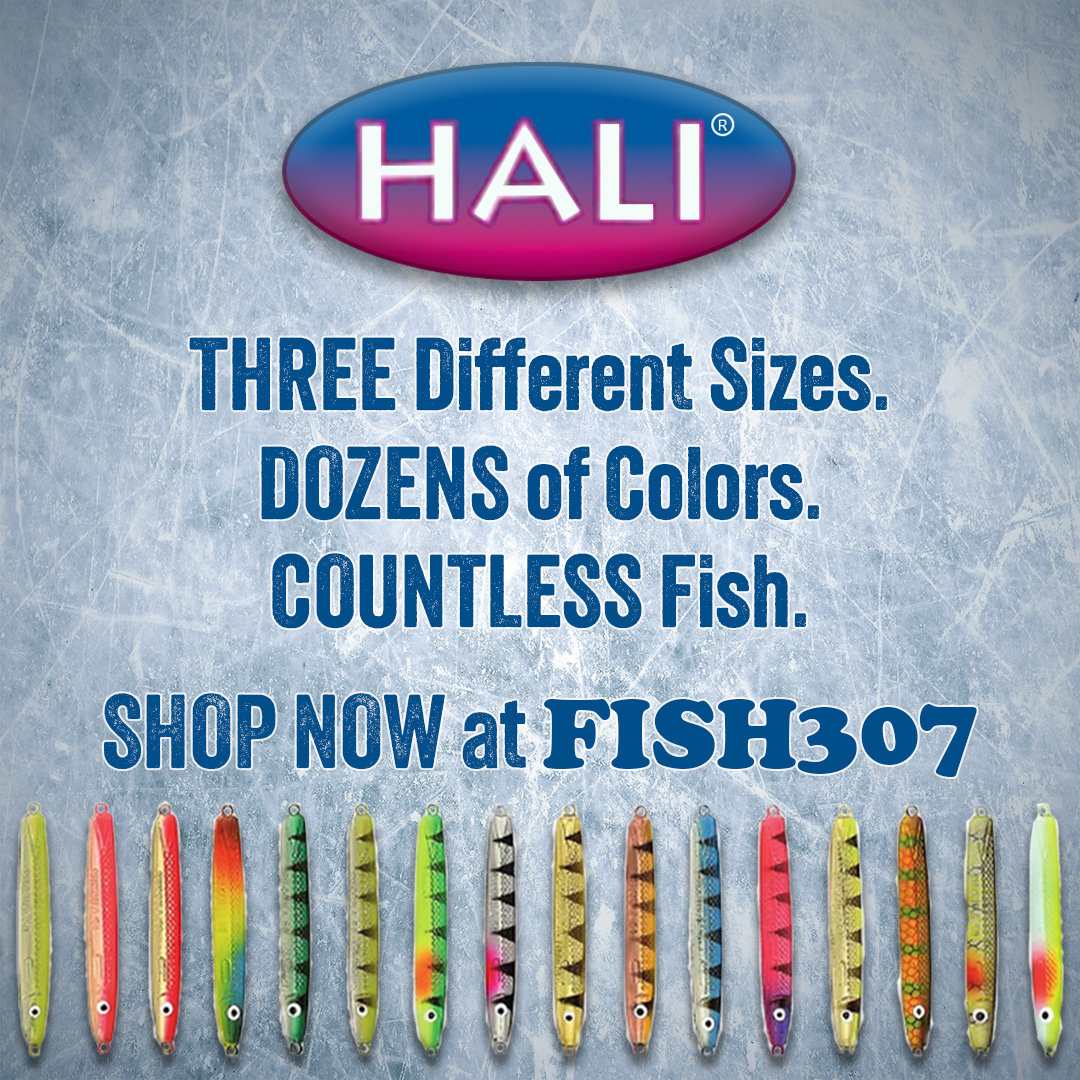 FISH307.com - Hali Sukkula Jigs are one of the most popular and ...