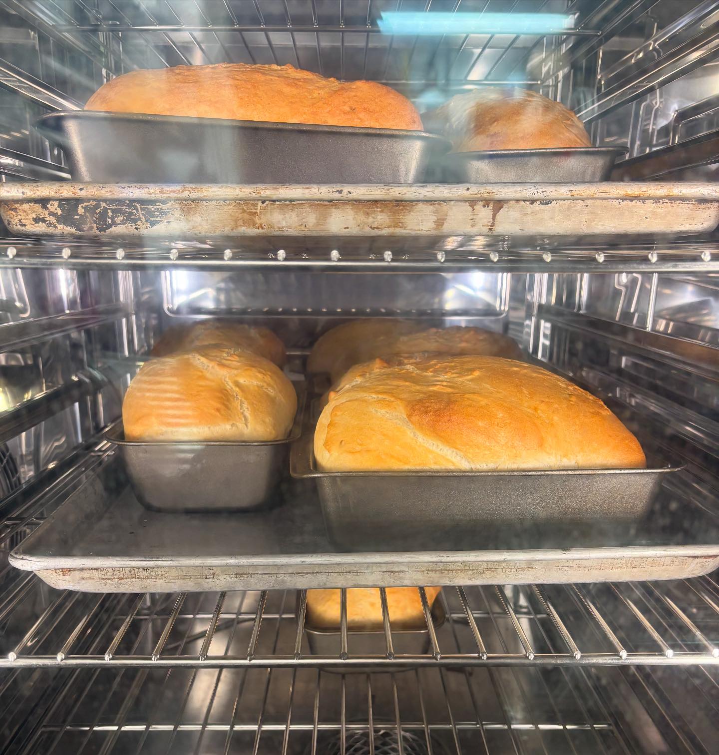 The Family - We bake our own bread in house! White, brown and sourdough ...