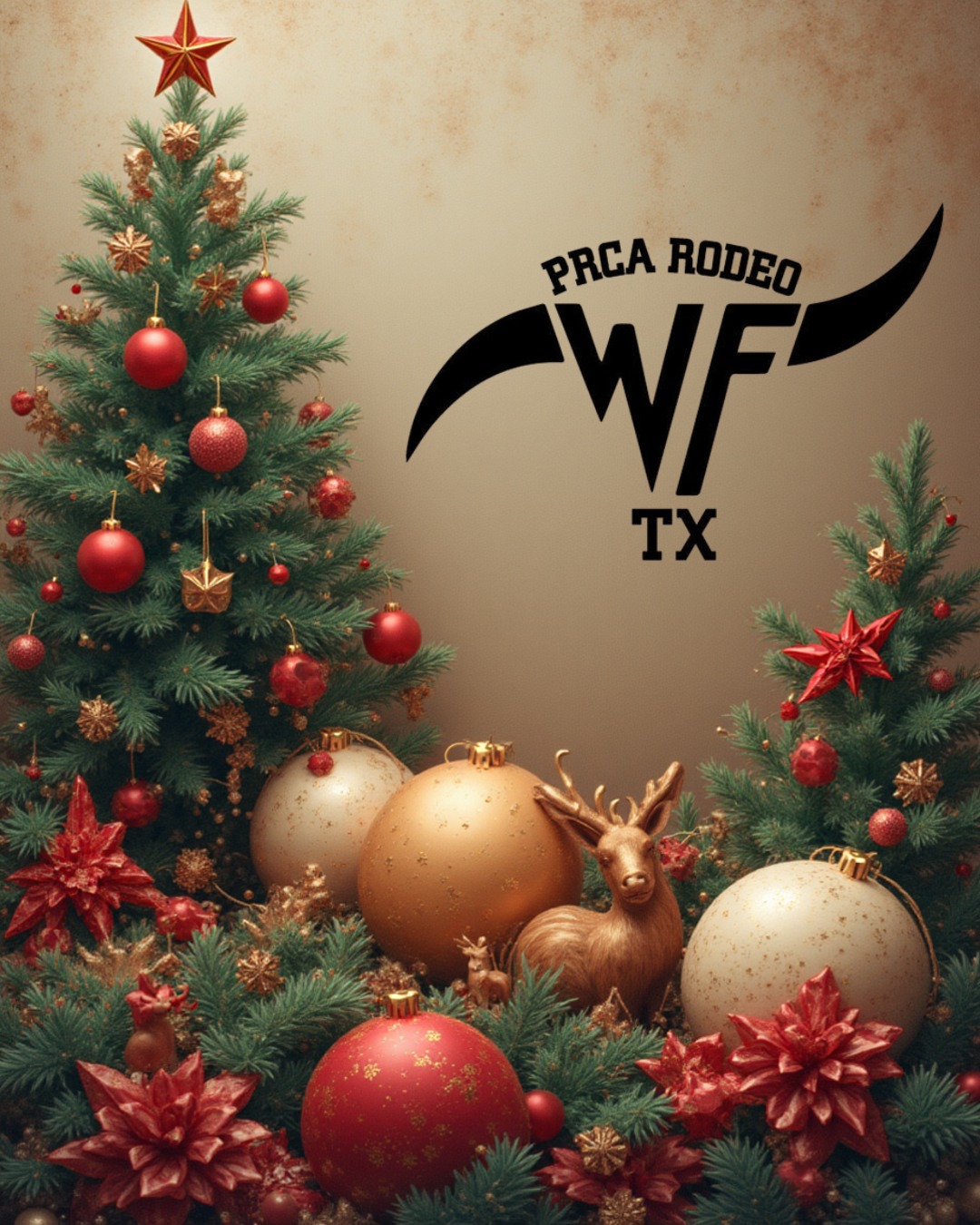 Wichita Falls PRCA Rodeo | Wichita Falls TX