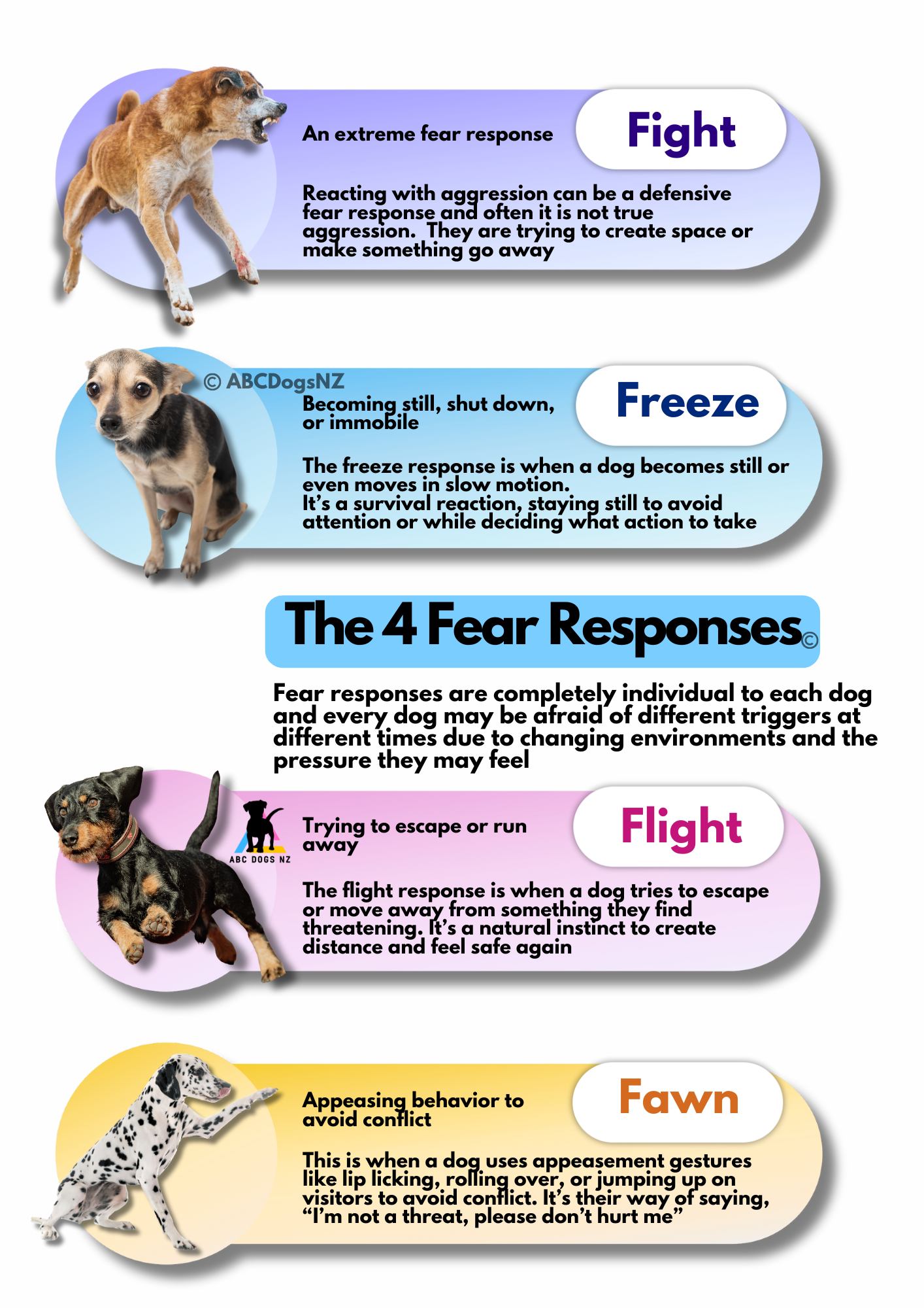 ABC Dogs NZ - Some of these responses have a lot of... | Facebook