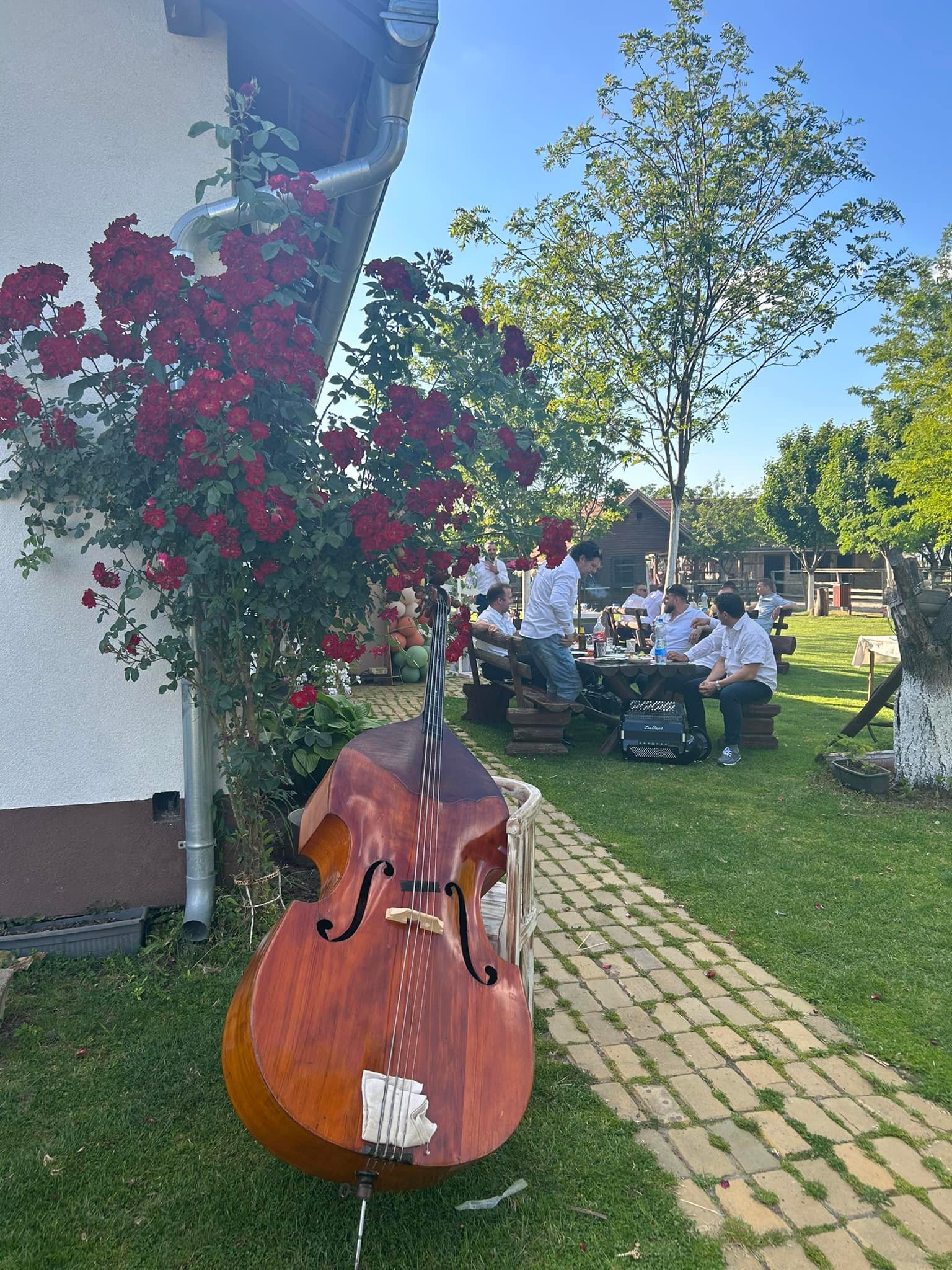 Sašin Salaš | Rumenka