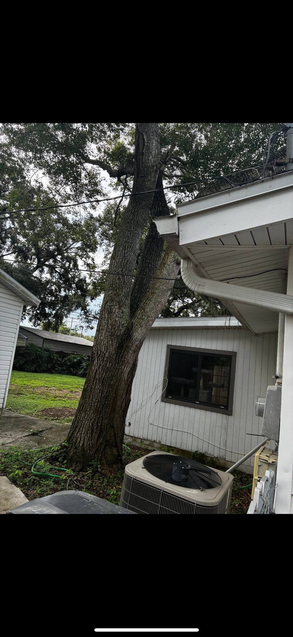 Top Notch Trees and land clearing LLC | Riverview FL