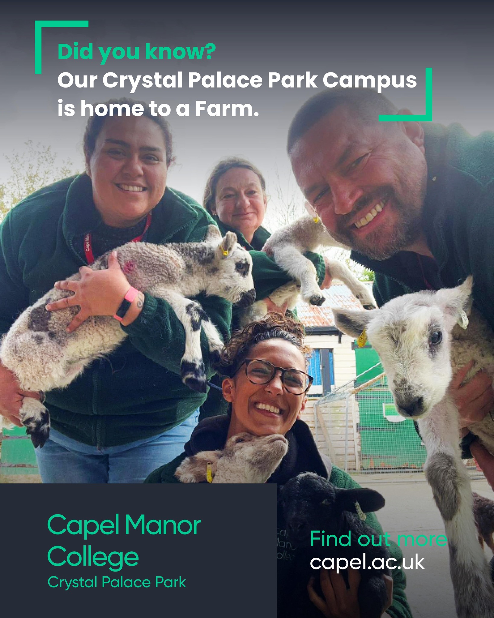 Did you know that our Crystal Palace... - Capel Manor College | Facebook