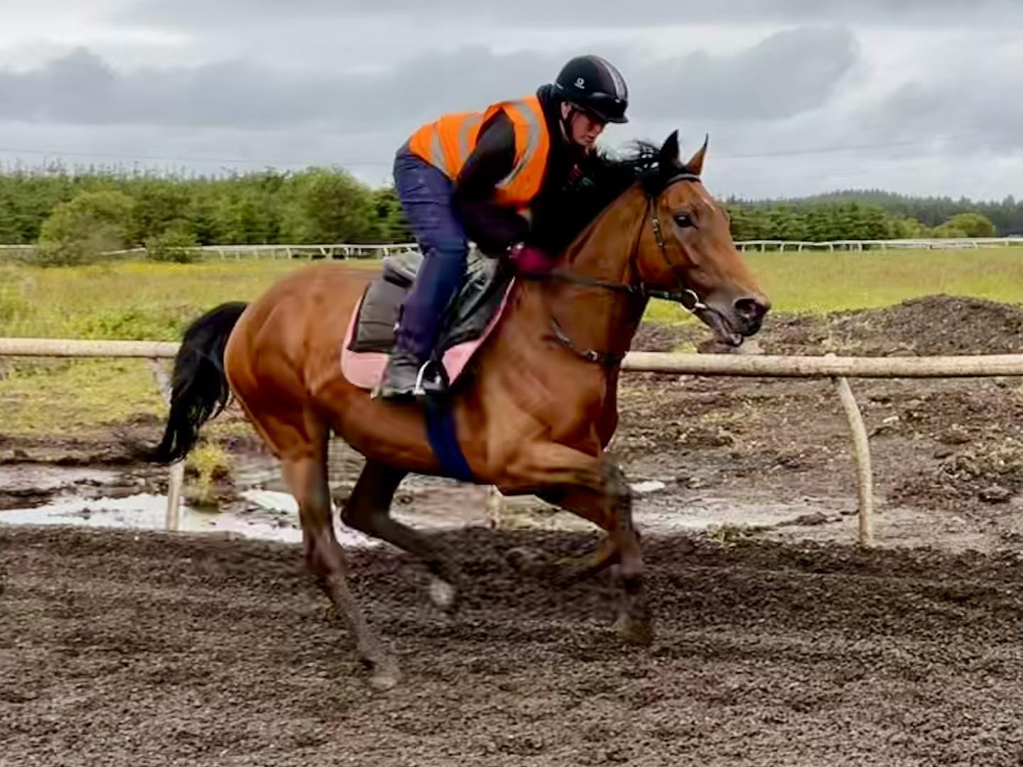 Jim Goldie Racing | Glasgow