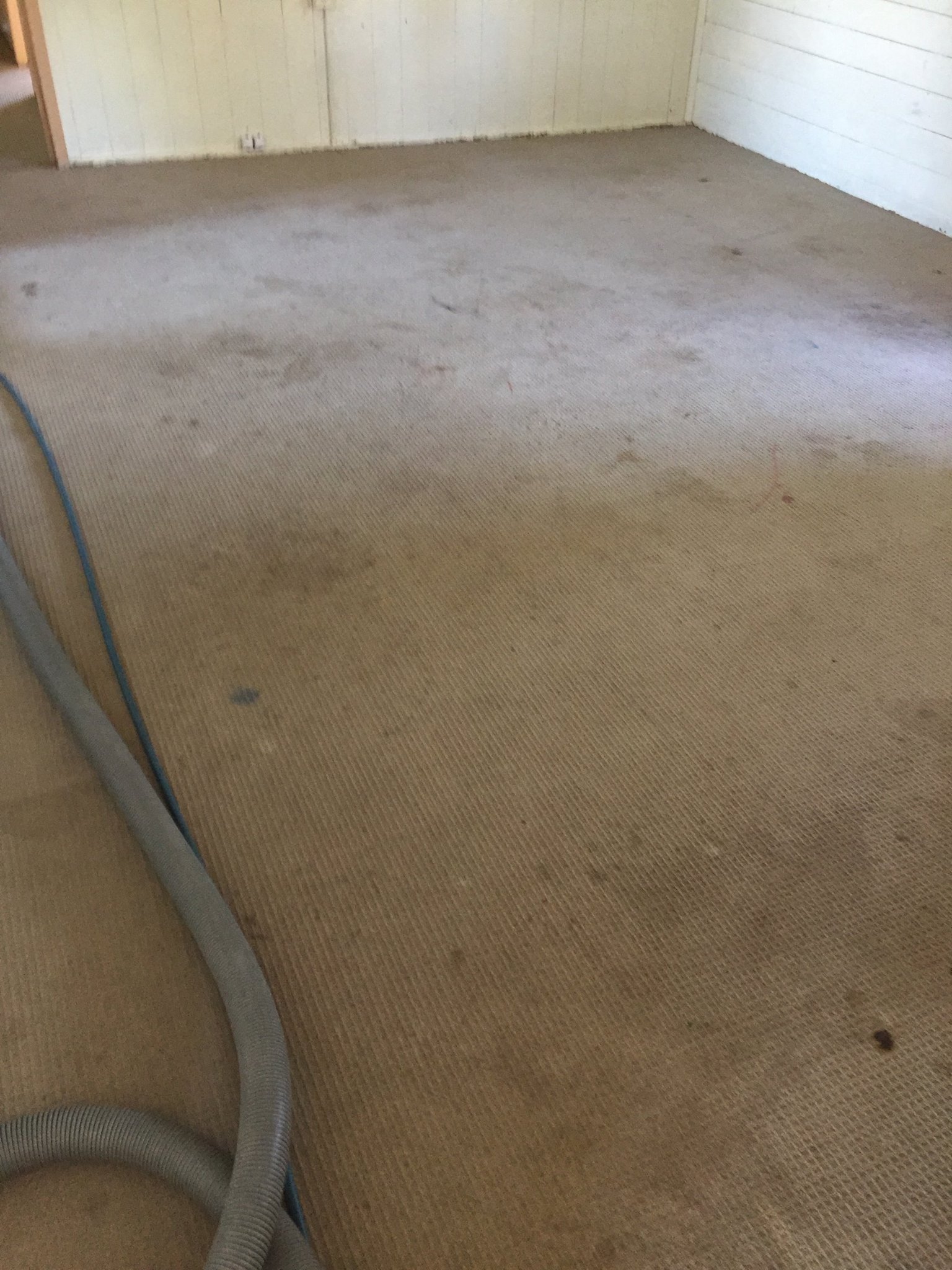 A & C Carpet Care and Pest Control Ipswich QLD