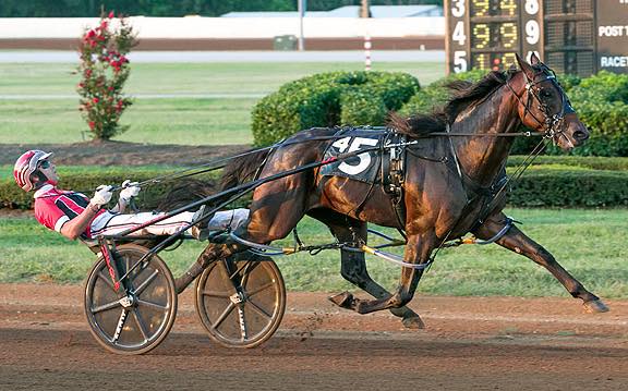 Harness - Bettor's Wish, recently elected to the Harness Horse Hall of ...