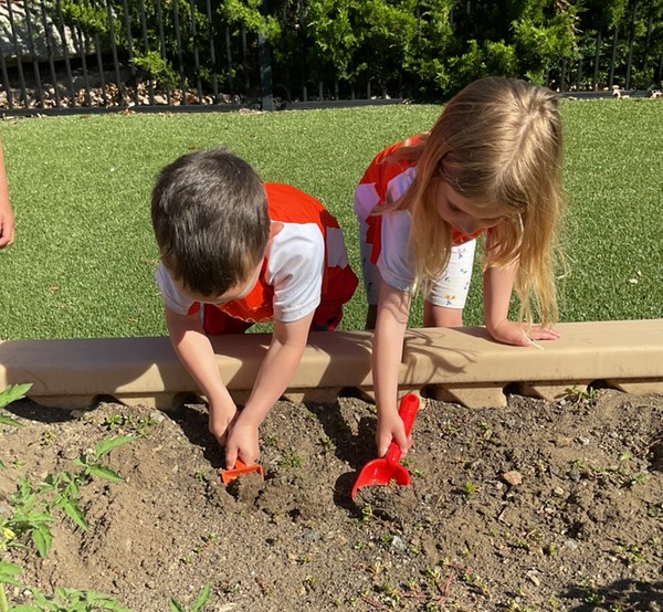 Primrose School at... - Primrose School at Bedford Hills