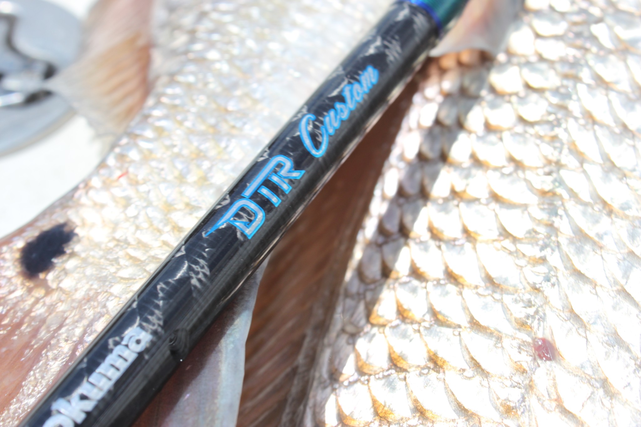 okuma dtr rods Custom Inshore DTR-S-701M-TW the Okuma Coldwater Custom Trolling Rods offer maximum durability and resilience to handle the rigors of trolling Fishing Rods Custom Offshore Tackle
