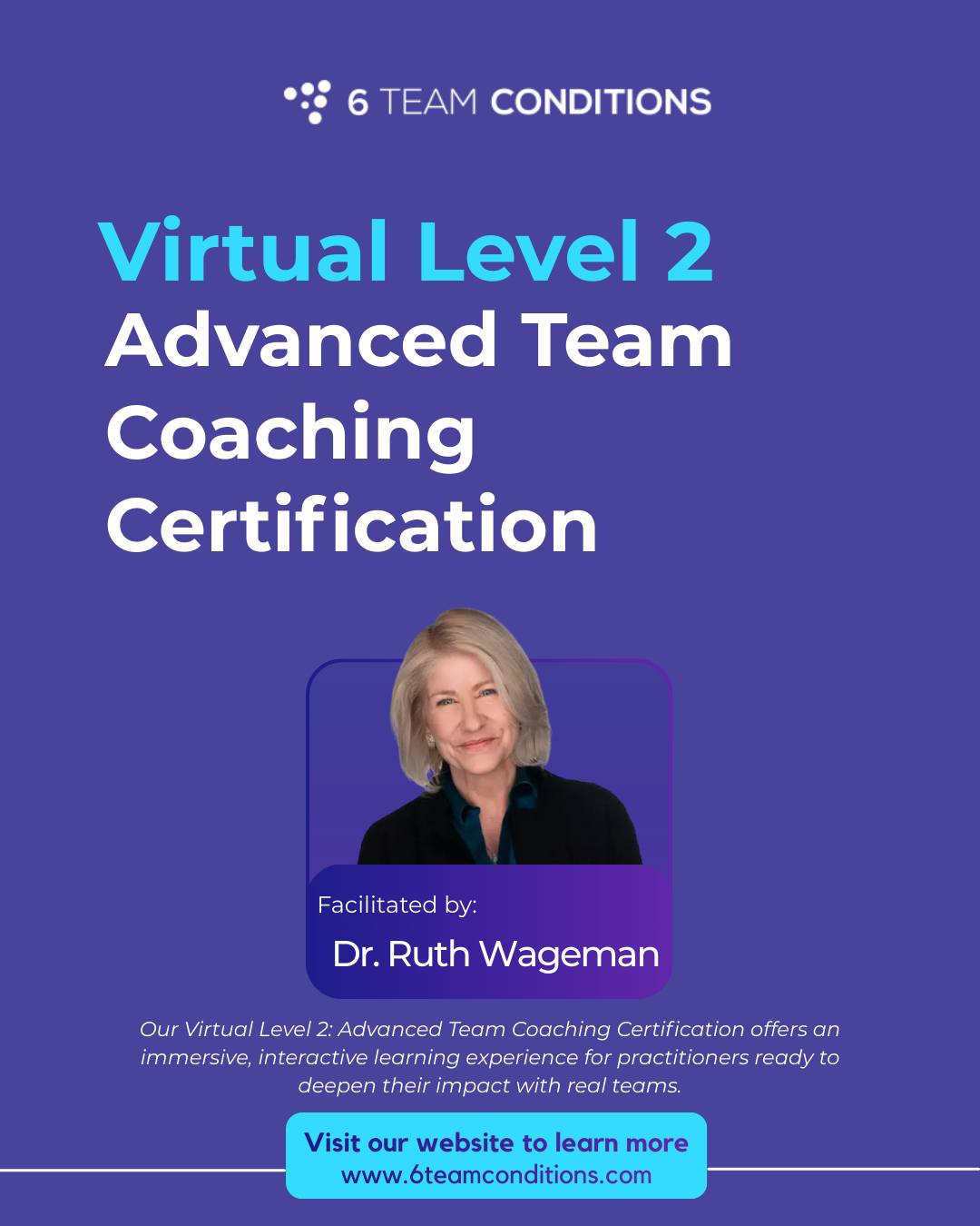 6 Team - Advance your team coaching practice from anywhere. This ...