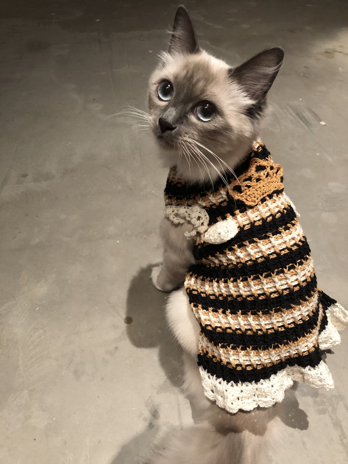 Crochet Cat Dress 😍