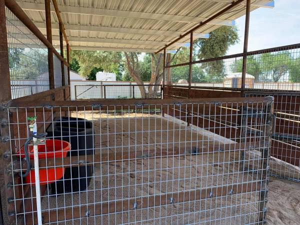 Tripl... - Triple R Ranch Horse Boarding and Training Facility